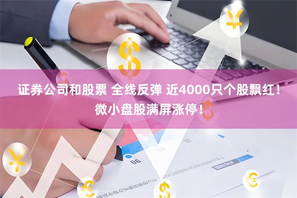 证券公司和股票 全线反弹 近4000只个股飘红！微小盘股满屏涨停！