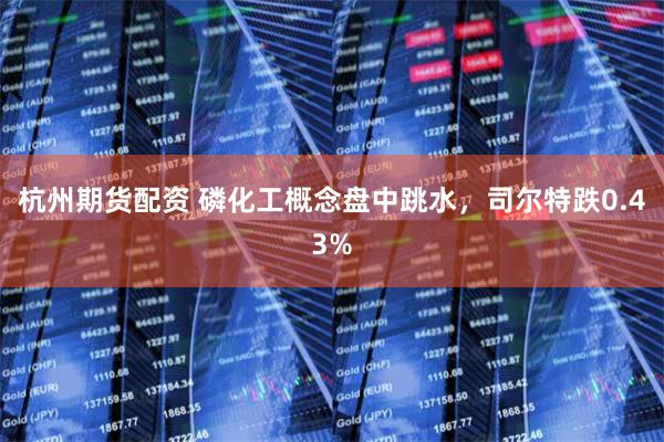 杭州期货配资 磷化工概念盘中跳水，司尔特跌0.43%